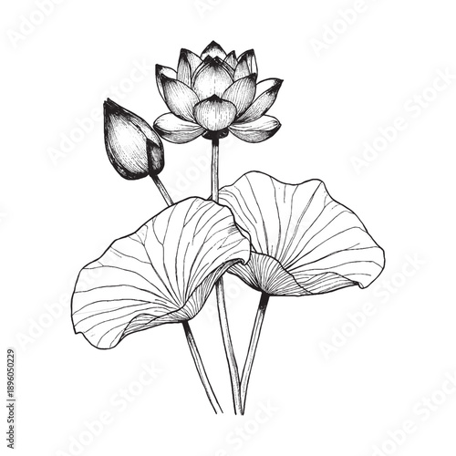 Simple lotus icon. Lotus flower symbol vector with leaf.