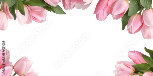 Elegant floral border made of soft pink tulip flowers and green leaves arranged along the top edge, creating a romantic frame with generous copy space on a transparent background.
