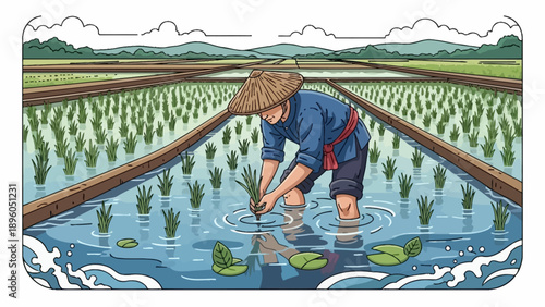 A farmer planting rice in a flooded paddy field.