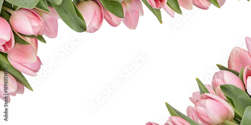 Elegant floral border made of soft pink tulip flowers and green leaves arranged along the top edge, creating a romantic frame with generous copy space on a transparent background.