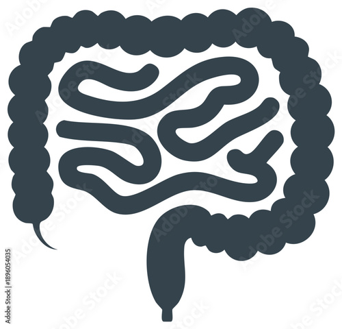 Abstract stylized graphic representation of the human large intestine digestive organ