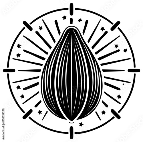 Mystical sunburst logo design featuring a stylized seed or pod illustration