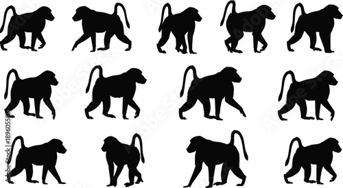 Baboon silhouette collection, black walking and standing poses, animal motion study, nature vector design, wildlife illustration set