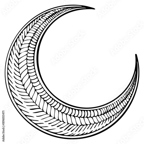 Detailed Crescent Moon Vector Illustration with Textured Patterns