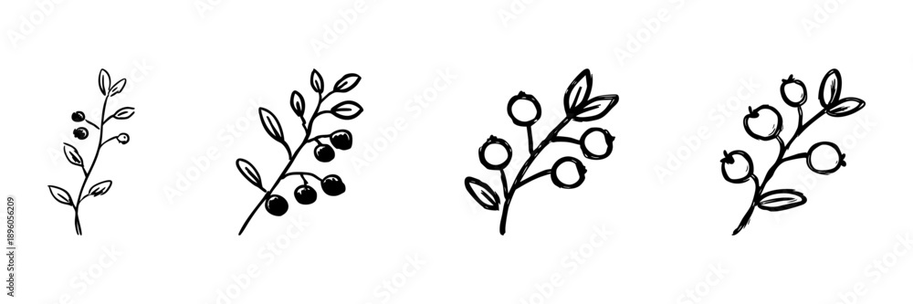 Fototapeta premium Berry Branches Line Icon Set In Doodle Style. Nature, Botanical Elements, And Organic Growth Outline Sketch Collection. Hand Drawn Isolated Vector Illustration