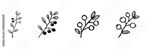 Berry Branches Line Icon Set In Doodle Style. Nature, Botanical Elements, And Organic Growth Outline Sketch Collection. Hand Drawn Isolated Vector Illustration