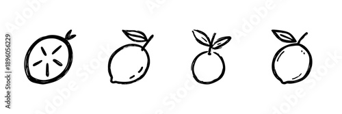 Citrus Fruits Line Icon Set In Doodle Style. Lemon, Lime, And Orange Outline Sketch Collection. Freshness And Vitamin C Concept. Hand Drawn Isolated Vector Illustration