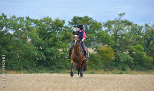 Young female rider and her bay horse enjoying moving at speed in the English countryside in open fields where they can move freely.