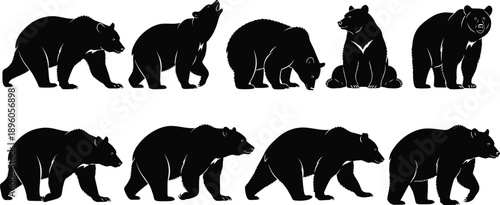 Dragon silhouette set, black fantasy creatures, winged reptile poses, mythical monster design, fierce beast illustration, fantasy graphic elements