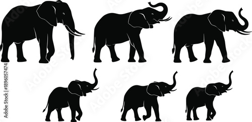 Elephant silhouette collection, black wildlife poses, adult and baby elephants, nature vector design, animal graphic illustration set