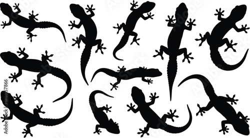 Gecko silhouette collection, black reptile poses, curved tail lizards, nature vector design, animal illustration, wildlife graphic set
