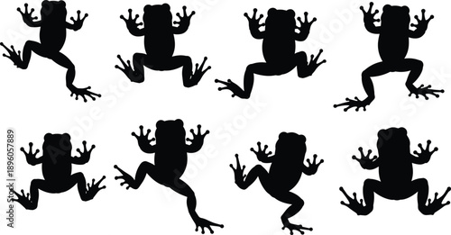 Frog silhouette collection, black amphibian poses, jumping and climbing frogs, nature vector design, animal illustration, wildlife graphic set