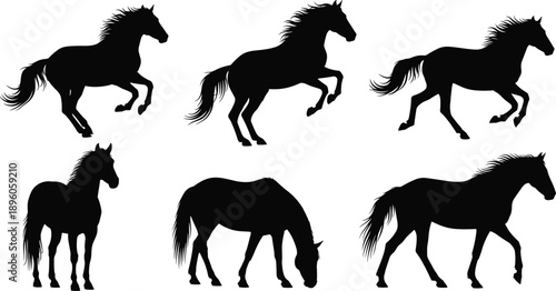 Horse silhouette collection, black vector poses, running and grazing horses, nature design elements, equine movement illustration, animal graphic set