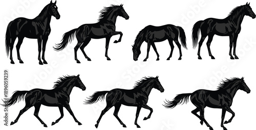 Horse silhouette collection, black vector poses, running and standing horses, grazing animal design, equine motion illustration, nature graphic elements