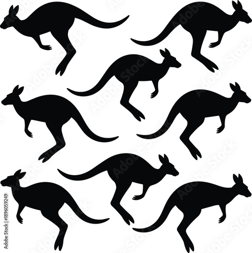 Black kangaroo silhouettes collection showing jumping and running poses Australian marsupial wildlife illustration isolated on white background