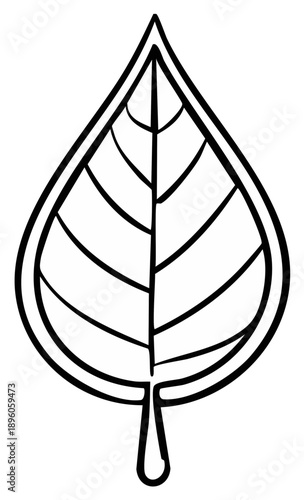Simple outline of a single leaf with a stem and prominent veins
