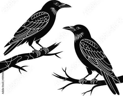 Two black ravens perched on tree branches dark monochrome engraving style bird illustration isolated on black background gothic artwork