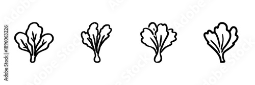 Leafy Greens Line Icon Set In Doodle Style. Fresh Vegetables, Healthy Eating, And Nutrition Outline Sketch Collection. Hand Drawn Isolated Vector Illustration