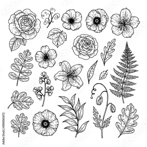 Vintage black and white hand drawn botanical flowers vector set