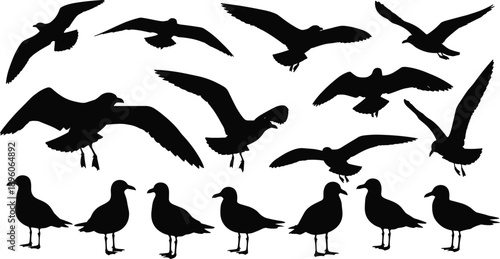 Seagull silhouette collection, black flying and standing birds, coastal wildlife design, nature vector elements, marine bird illustration set
