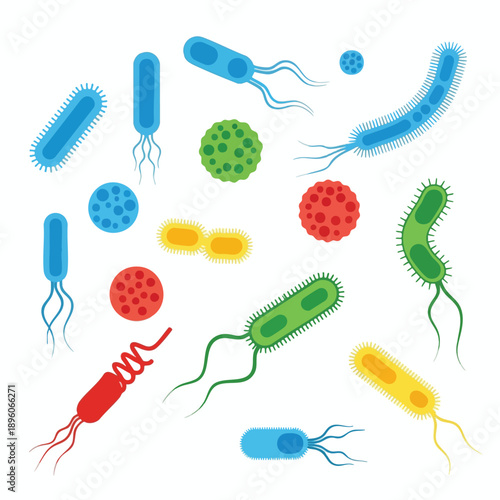 Colorful Microorganisms Illustration