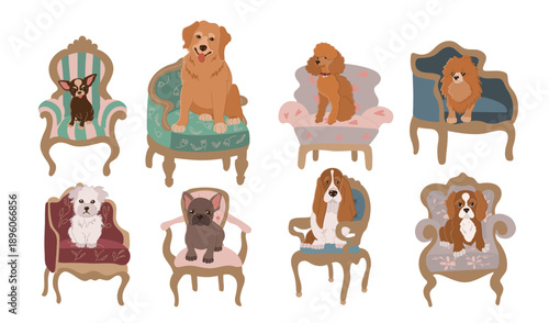 A charming flat vector set featuring eight dog breeds sitting in elegant Empire style armchairs. Includes Golden Retriever, Chihuahua, Spitz, Maltese, Poodle, Bulldog, Cavalier King Charles Spaniel, a