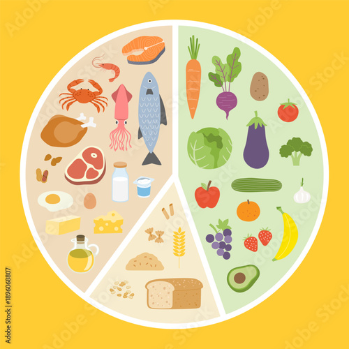Healthy Balanced Diet Food Plate Illustration with Proportions of Proteins, Vegetables, Fruits, and Grains for Nutrition Education. Healthy eating tips. Plan your meal.