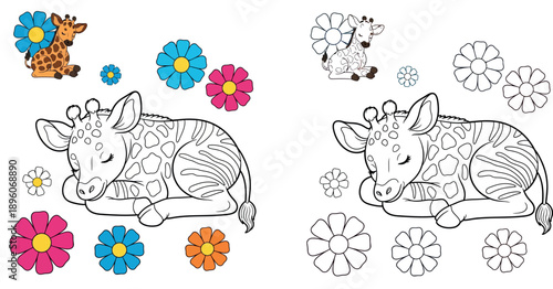 Cute baby giraffe sleeping coloring book page. Vector cartoon illustration of adorable animal lying down with flowers. Black and white outline with color reference for kids activity.