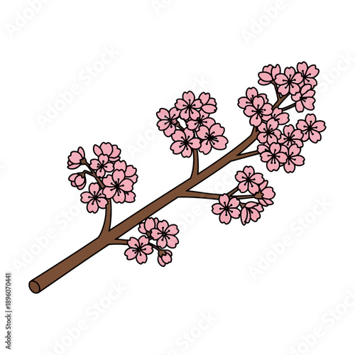 Cherry Blossom Branch with Pink Flowers.
