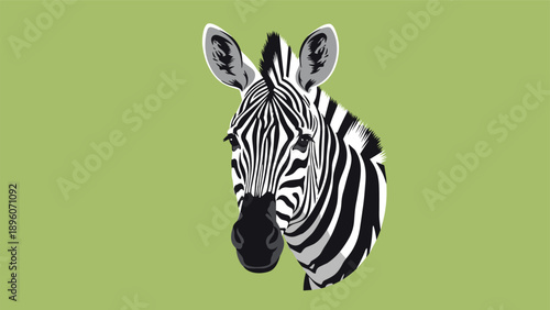 Close up portrait of a zebra head with black and white stripes isolated on a solid light green background illustration.