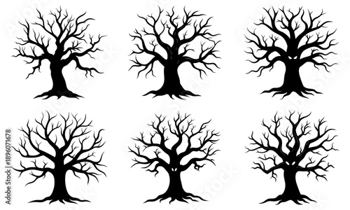 Six bare trees silhouetted against a white background, varying in branch structure and root visibility, depicted in black illustrations from a frontal viewpoint