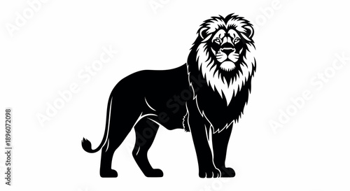A black and white illustration of a standing lion with a thick mane against a plain white background.