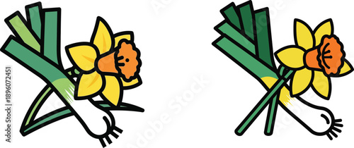 Two colorful daffodils with green stems and leaves