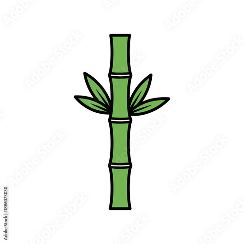 Bamboo Stem with Leaves Illustration.