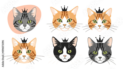 Diverse set of cute domestic cat faces wearing little black crowns represents royalty and variety among different feline breeds.