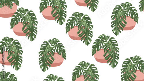 Stylish seamless pattern features green monstera deliciosa plants in pink pots on a clean white background, providing a tropical decor feel.