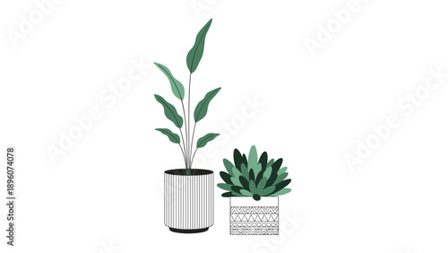 Two different styles of indoor potted plants in decorative ceramic containers designed for modern home and office decoration.