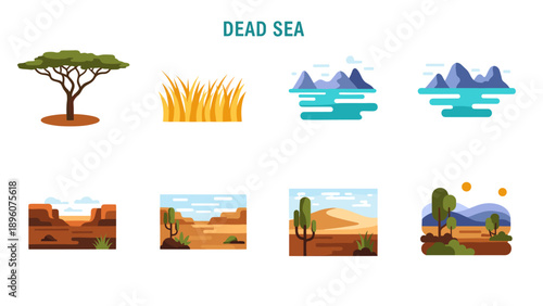 Nature elements of the dead sea: desert landscapes and more
