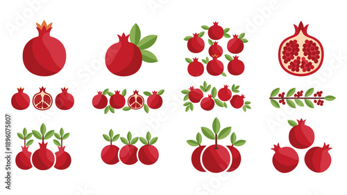 Vibrant pomegranate collection with flat design elements for modern decor