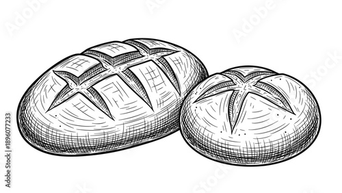 Traditional black and white etching style drawing of two crusty loaves of freshly baked bread with scored tops on a white background.