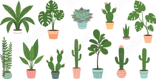 Vector set of indoor house plants succulents and cacti in colorful ceramic pots for home decor gardening and interior design illustrations