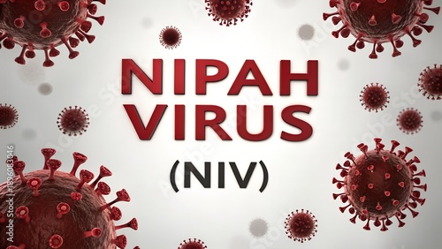 Nipah virus particles with 3D rendering for medical and educational use