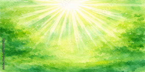 Bright sun rays burst through forest trees onto green grass under a blue summer sky nature backdrop vector illustration wallpaper design