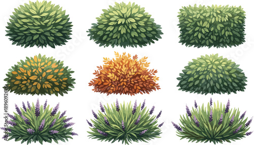 Flat vector illustration set of lush garden bushes and flowering shrubs with green and autumn foliage isolated on white background for landscaping, nature and outdoor design use