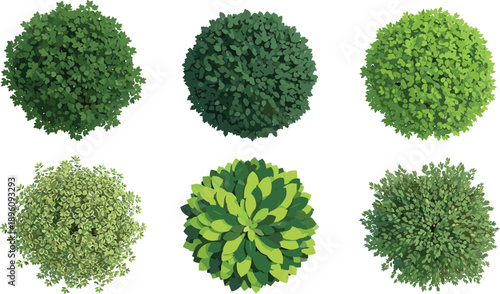 Top view flat vector illustration set of green bushes and shrubs in different shapes isolated on white background for landscaping, garden design and nature projects