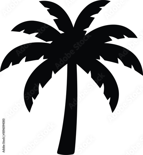 Single palm tree black silhouette with large leaves and thick trunk on transparent background for exotic scenery