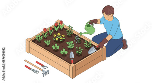 Man Tending to Plants in Raised Garden Bed.