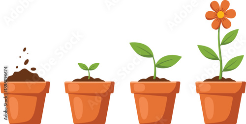 Sequence of four terracotta pots showing plant growth stages from seed to blooming flower, ideal for biology education, gardening visuals, and life cycle illustrations.