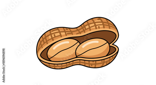 Peanuts in Shell on White Background.