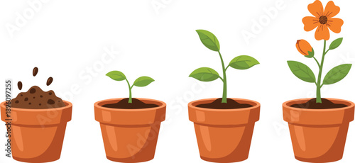 Terracotta flower pots showing plant growth stages from seed to blooming orange flower, educational biology illustration of life cycle for botany, gardening, environment, sustainability concepts